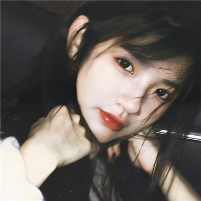 鸟语惊魂